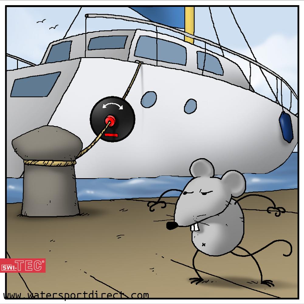 Отдать швартовы ассоциируется с морем. Швартовые на корабле. Крысы с корабля. Защита от крыс на корабле. Защита швартовых от крыс.